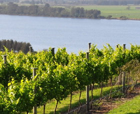 Two Figs Winery - Find Attractions 0
