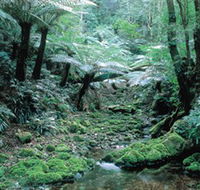 Deua National Park - Find Attractions