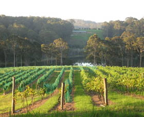 Tilba Valley Wines - Find Attractions 0