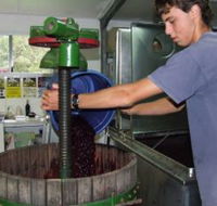 Fern Gully Winery - Find Attractions