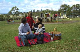 Blackbutt Forest Reserve Shellharbour
