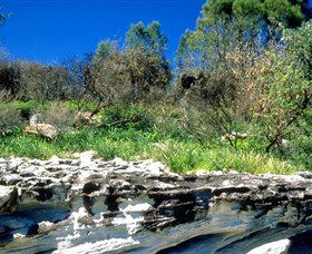 Abrahams Bosom Reserve - Find Attractions 0