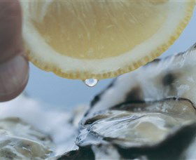 Pearly Oyster Bar And Farm - Find Attractions 0