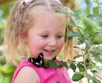Book Bonville Accommodation Vacations Find Attractions Find Attractions