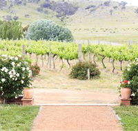 Brindabella Hills Winery - Find Attractions
