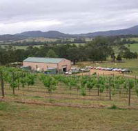 Villa d Esta Vineyard - Find Attractions