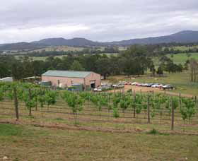Villa D Esta Vineyard - Find Attractions 0