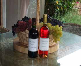 Villa D Esta Vineyard - Find Attractions 2