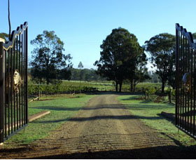 Moorebank Private Vineyard - Find Attractions 3