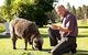Moorebank Private Vineyard - thumb 2