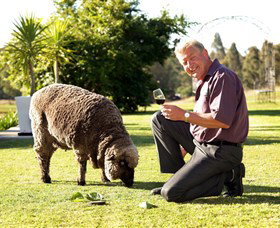 Moorebank Private Vineyard - Find Attractions 2