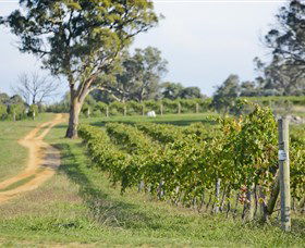 Shaw Vineyard Estate - Find Attractions 1