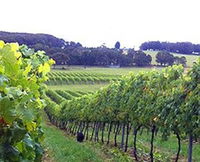 Book Exeter Accommodation Vacations Find Attractions Find Attractions