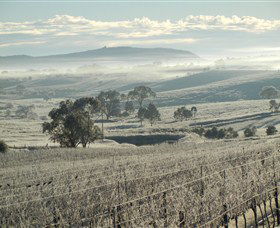 Kurrajong Downs Wines Vineyard - Find Attractions 1