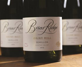 Briar Ridge Vineyard Mount View
