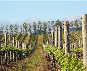 Philip Shaw Wines Orange