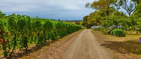 Merricks Estate - Find Attractions 1