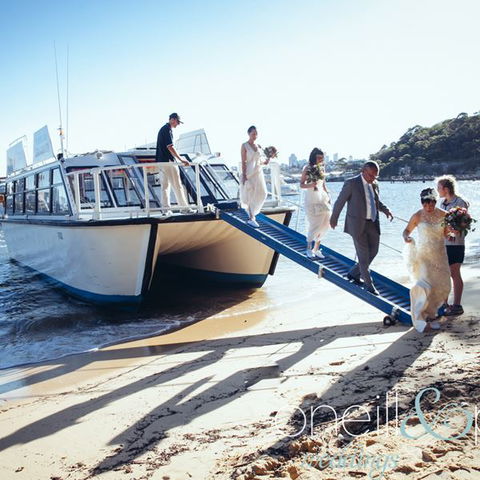 H2O Maxi Taxis - Find Attractions 3