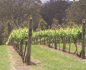 Diamond Creek Estate Cellar Door - Find Attractions 2