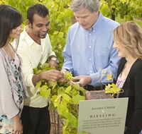 Jacob's Creek Vineyard Tour - Find Attractions