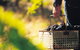 Hartz Barn Wines - thumb 1