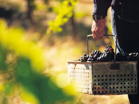 Hartz Barn Wines - Find Attractions 1