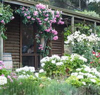 Lavina Wines - Find Attractions