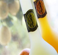 Ambra Limoncello - Find Attractions