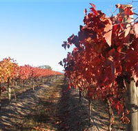 Kooyonga Creek Wines - Find Attractions