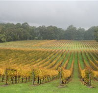 Boat O'Craigo Wines - Find Attractions