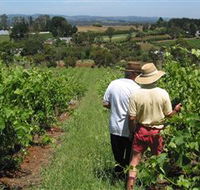 Sir Paz Estate - Find Attractions