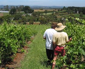 Sir Paz Estate - Find Attractions 0