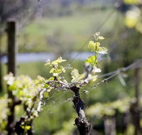 Barrgowan Vineyard - Find Attractions