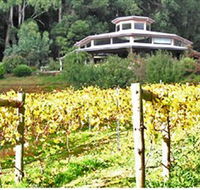 Peveril Vineyard/Beechy Berries - Find Attractions