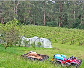Peveril Vineyard/Beechy Berries - Find Attractions 1