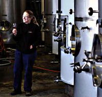 Holm Oak Vineyard - Find Attractions