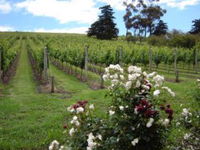 Book Hobart Accommodation Vacations Find Attractions Find Attractions
