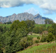 Lake Barrington Vineyard - Find Attractions