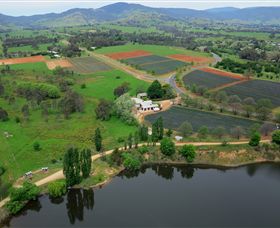 Schmidts Strawberry Winery - Find Attractions 3