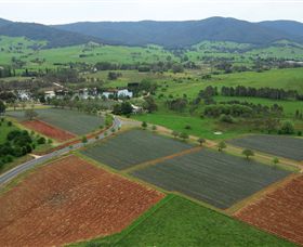 Schmidts Strawberry Winery - Find Attractions 1