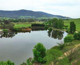 Schmidts Strawberry Winery - Find Attractions 2