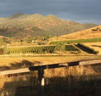Optimiste Wines - Find Attractions