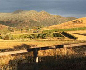 Optimiste Wines - Find Attractions 0