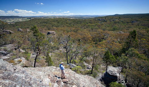 Munghorn Gap Nature Reserve - Find Attractions 1