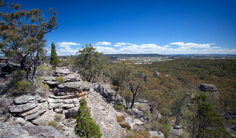 Munghorn Gap Nature Reserve - Find Attractions 0
