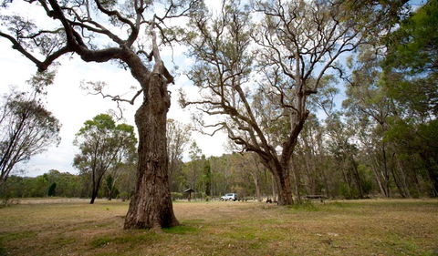 Munghorn Gap Nature Reserve - Find Attractions 3