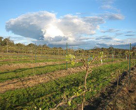 Flyfaire Wines - Find Attractions 7