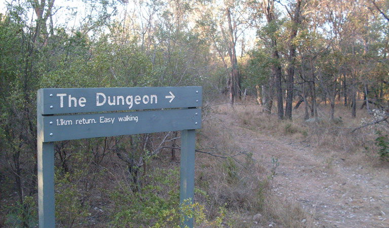 Ashford NSW Find Attractions