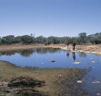 Camel Soak - Find Attractions
