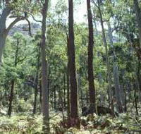 Cathedral Range State Park - Find Attractions